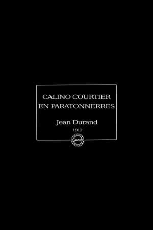 Calino courtier en paratonnerres