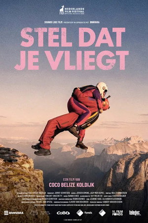 Stel dat je vliegt