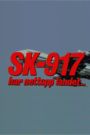SK 917 har nettopp landet