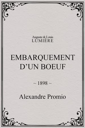 Embarquement d’un boeuf