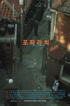 포파라치