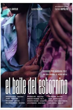El baile del estornino