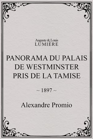 Panorama du palais de Westminster pris de la Tamise