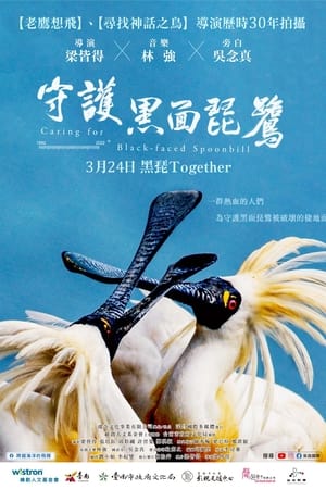 守護黑面琵鷺