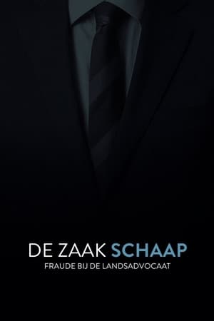 De Zaak Schaap: fraude bij de landsadvocaat
