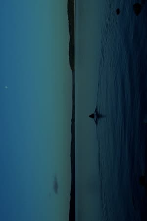 THE WATERS