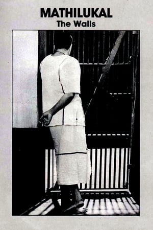 墙