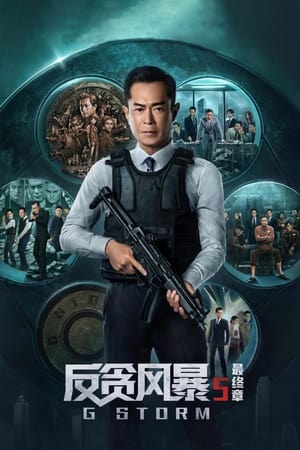 反贪风暴5：最终章