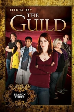 The Guild第3季