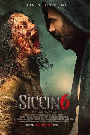 Siccîn 6