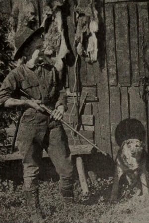 Outwitting the Timber Wolf