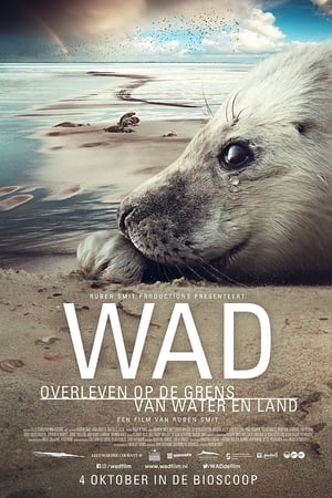 Wad: overleven op de grens van water en land