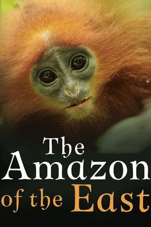 Kinabatangan: Der Amazonas des Ostens