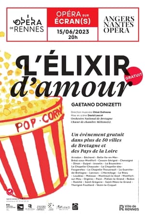 L'elixir d'amour - Donizetti - Angers Nantes opéra