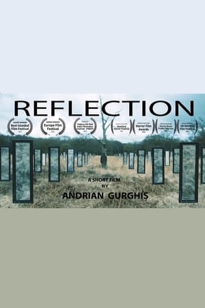 Reflection