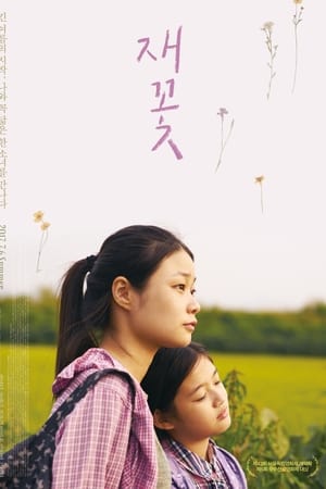재꽃