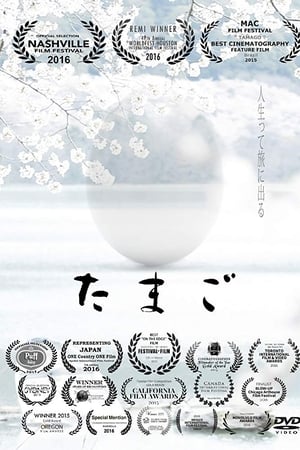 蛋