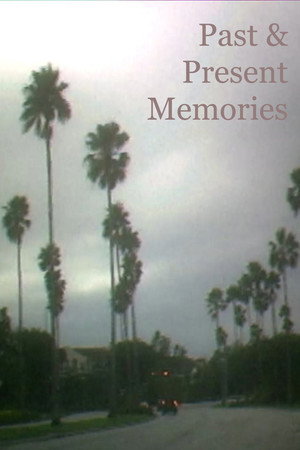 Past & Present Memories