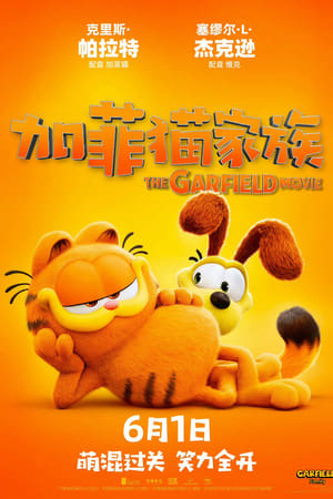 加菲猫家族