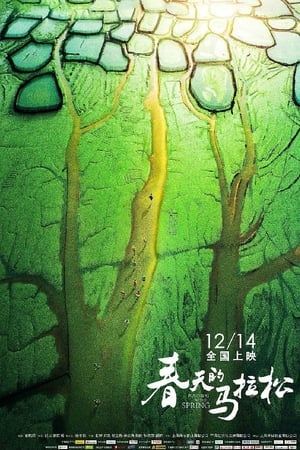 春天的马拉松