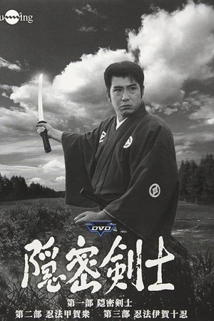 隠密剣士