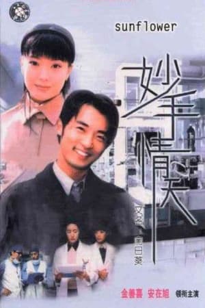 妙手情天