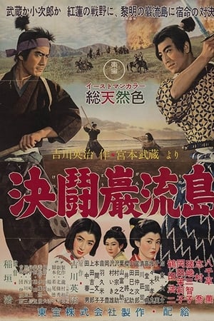 宫本武藏 完结篇：决斗岩流岛