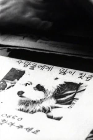 나무들이 봤어