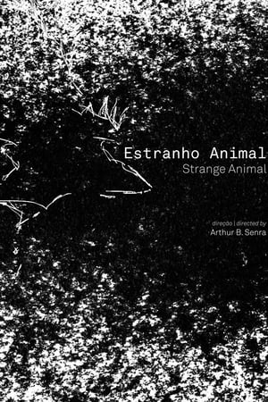 Estranho Animal