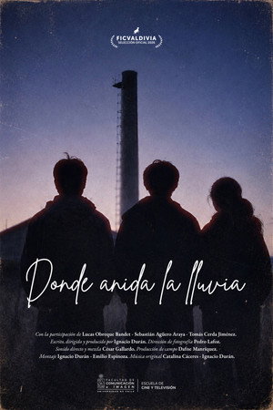 Donde anida la lluvia
