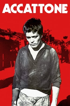 乞丐