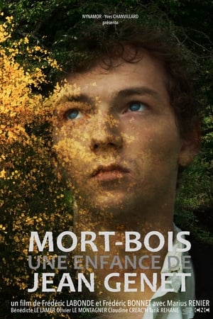 Mort-Bois, une enfance de Jean Genet