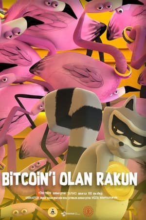 Bitcoin'i Olan Rakun