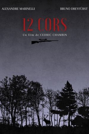 12 Cors