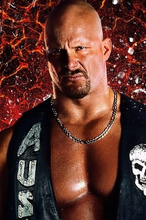 WWE Stone Cold Steve Austin - What?