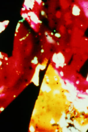 Divinations