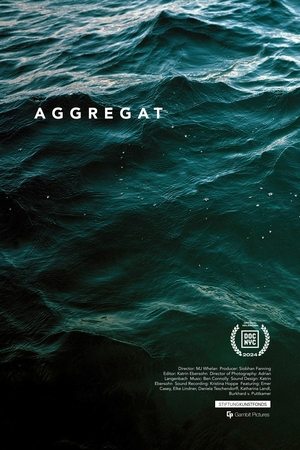 Aggregat