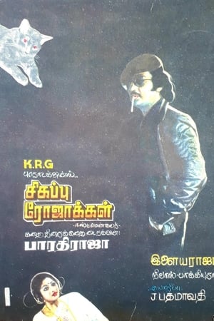சிகப்பு ரோஜாக்கள்