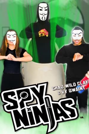 Spy Ninjas: The End
