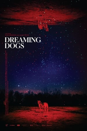 Dreaming Dogs