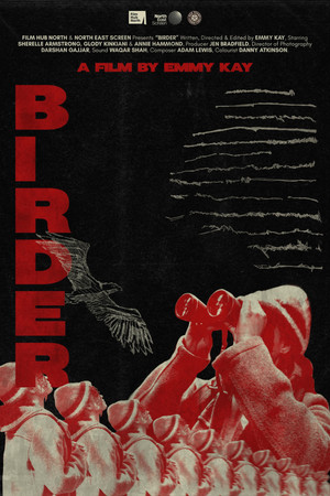 Birder