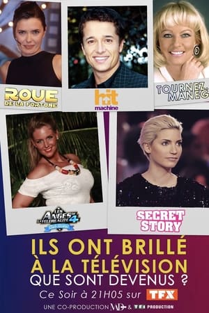Ils ont brillé à la télé : que sont-ils devenus ?
