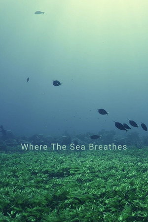 Where The Sea Breathes