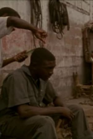Haiti. Uden titel