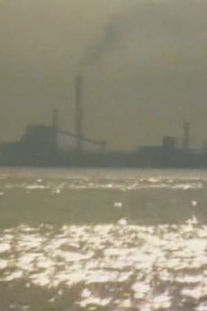 Porto Marghera, il lavoro contro la vita