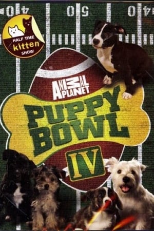 Puppy Bowl第4季