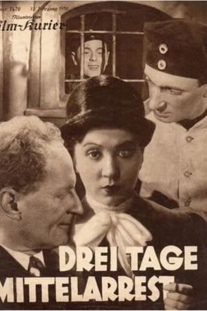 Drei Tage Mittelarrest