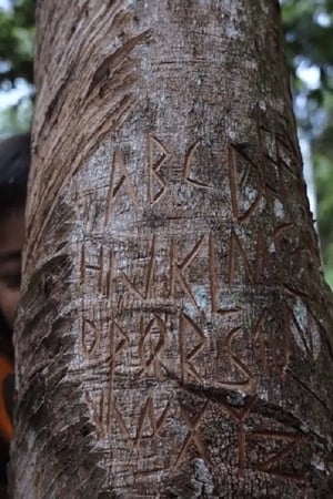 Rimba Kini
