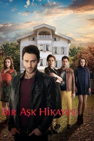 Bir Aşk Hikayesi