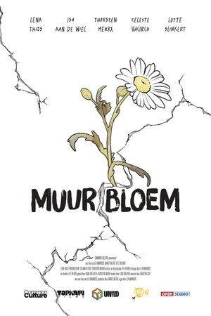 Muurbloem